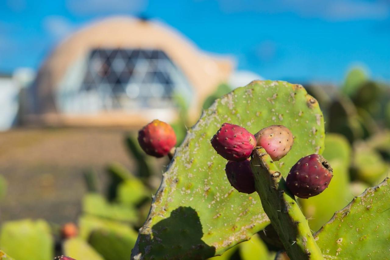 Luxurious Eco Dome Experience Lanzarote Hotel Teguise  Esterno foto